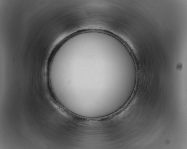 X0000101390982200807071001
