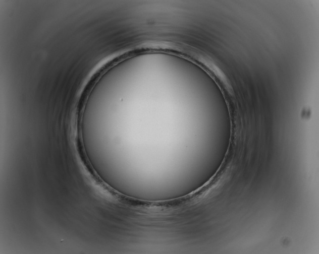 X0000101390984200807071001