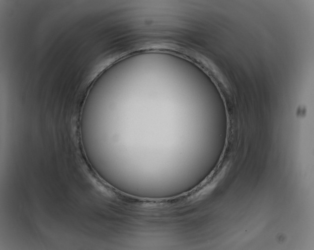 X0000101390985200807071001