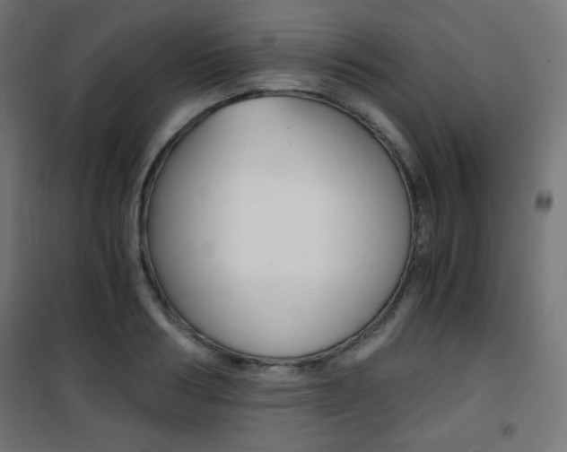 X0000101390986200807071001
