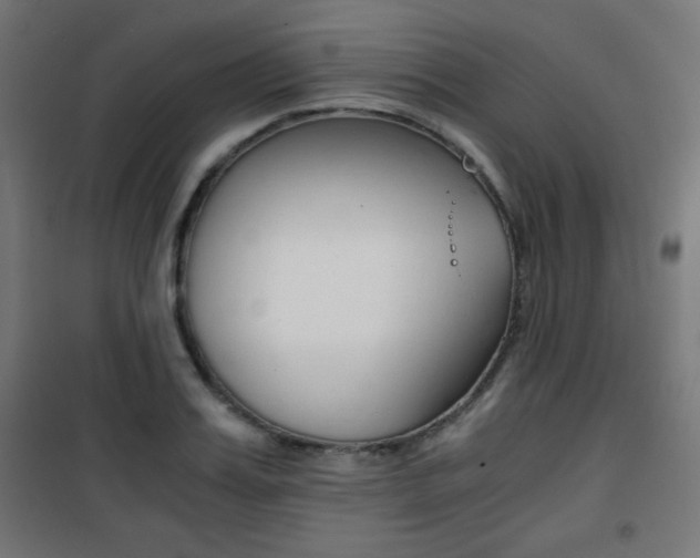 X0000101390987200807071001