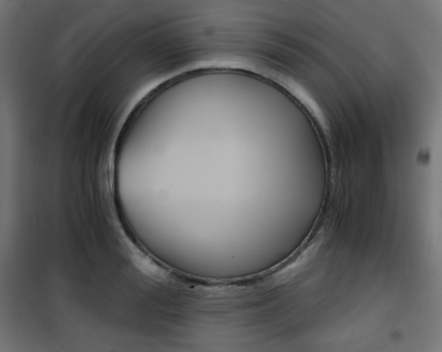 X0000101390988200807071001