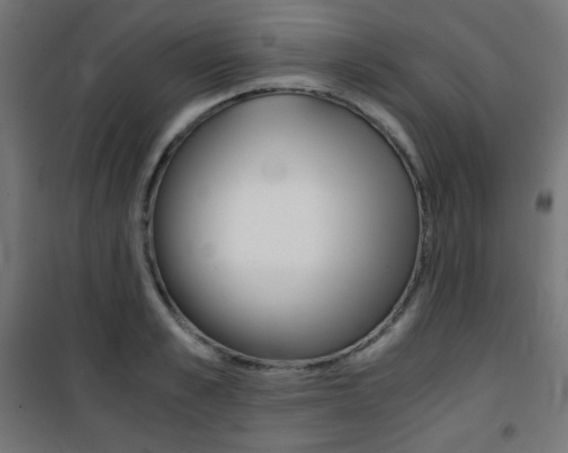 X0000101390989200807071001