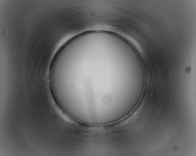 X0000101390990200807071001
