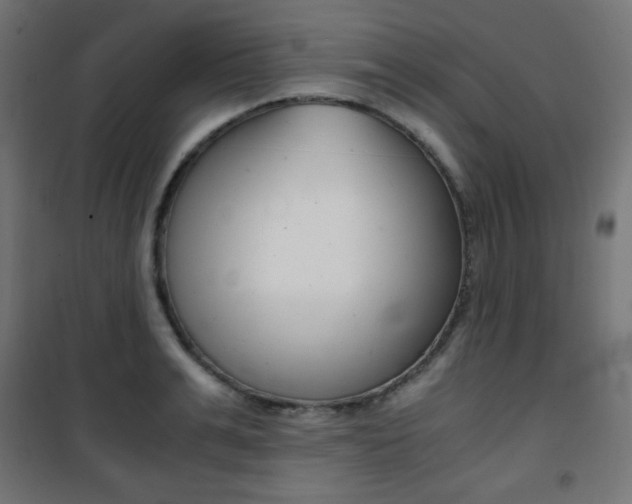 X0000101390991200807071001