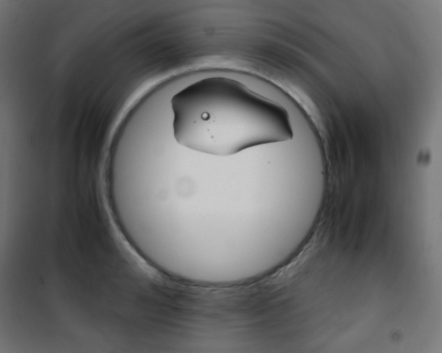 X0000101390992200807071001