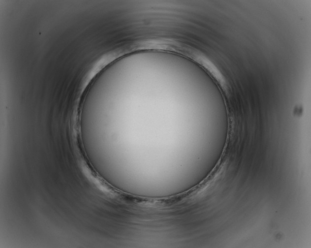 X0000101390994200807071001