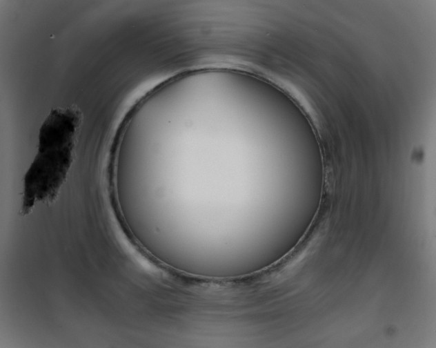 X0000101390995200807071001