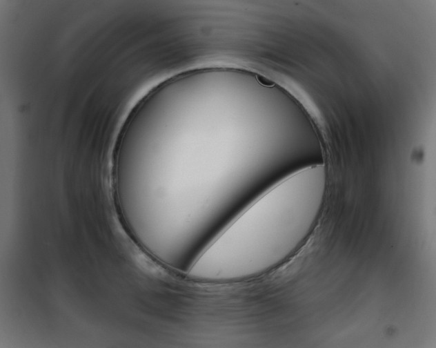 X0000101390996200807071001