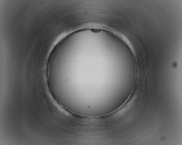X0000101390997200807071000