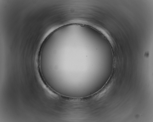 X0000101390999200807071000