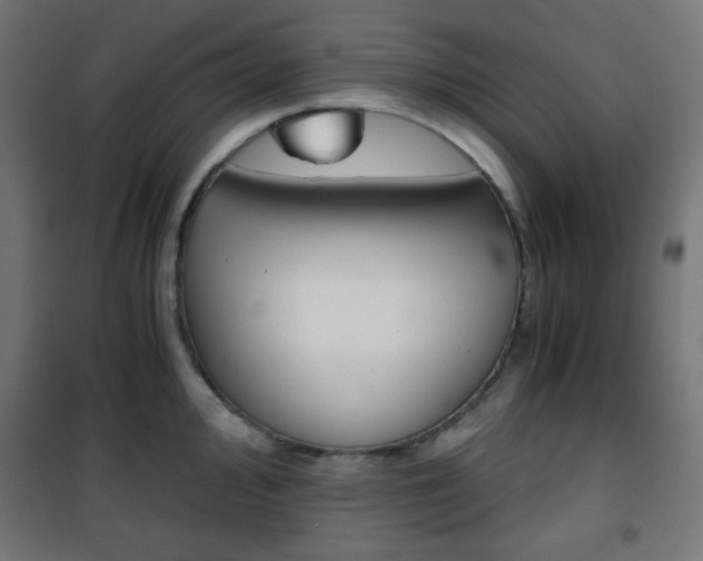 X0000101391000200807071000