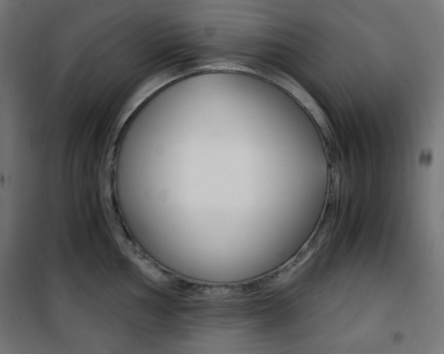 X0000101391002200807071000