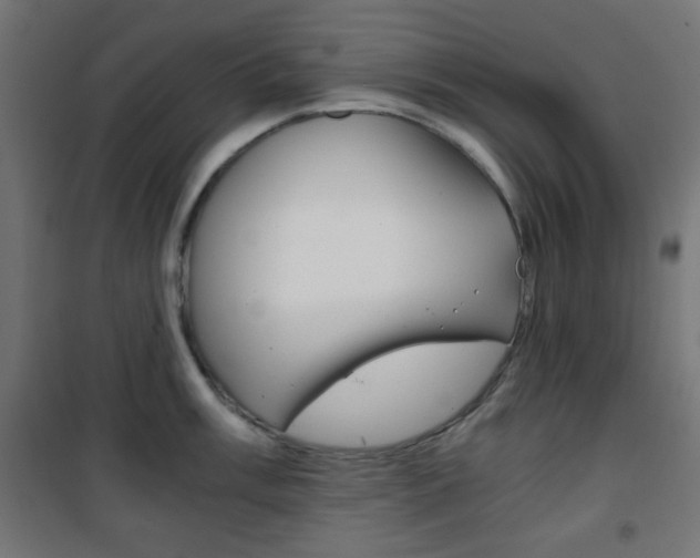 X0000101391003200807071000