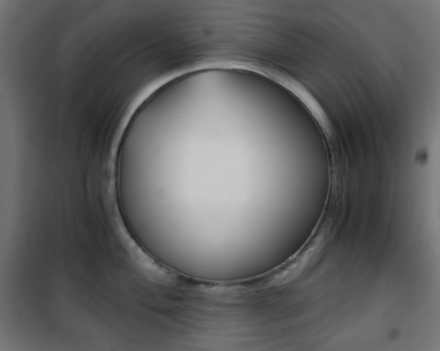 X0000101391004200807071000