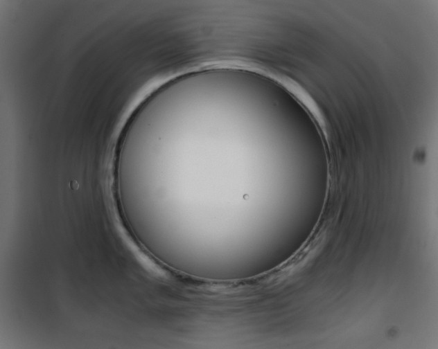 X0000101391005200807071000