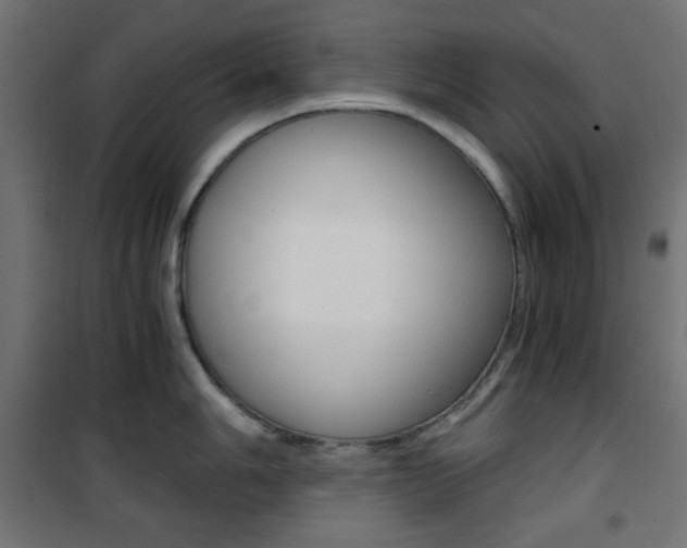 X0000101391006200807071000