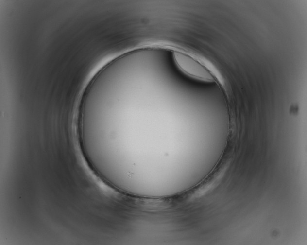 X0000101391007200807071000