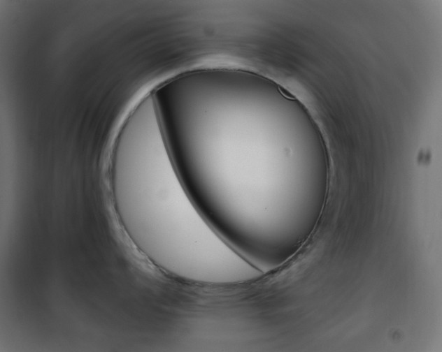X0000101391008200807071000