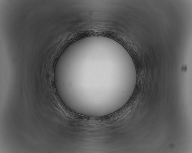 X0000101391009200807070959