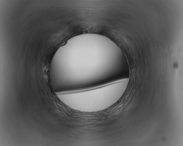 X0000101391010200807070959