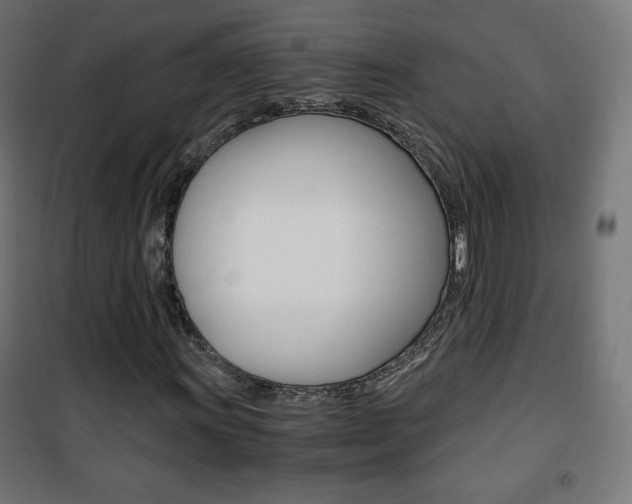 X0000101391011200807071000