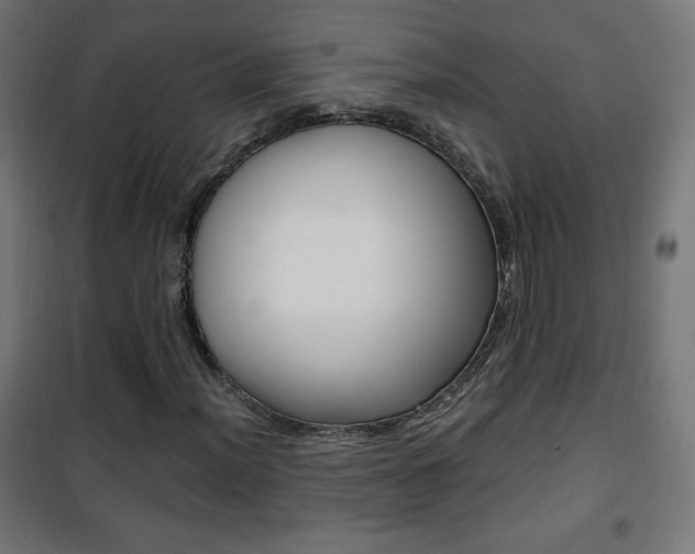 X0000101391012200807071000