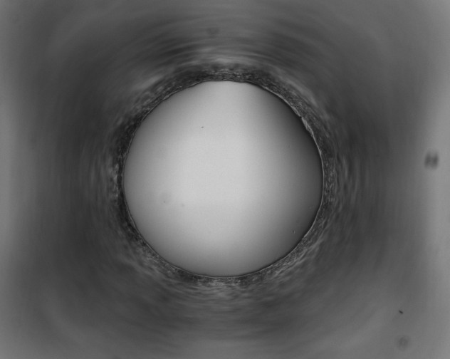 X0000101391013200807071000