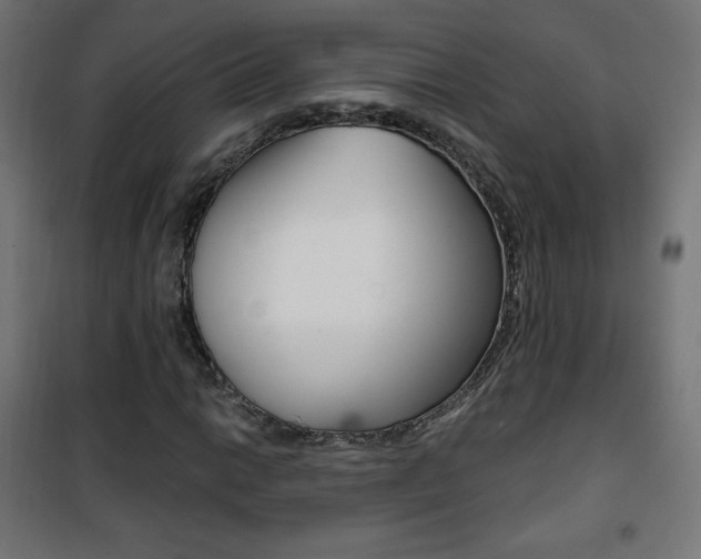 X0000101391014200807071000