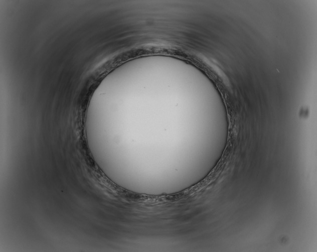 X0000101391015200807071000