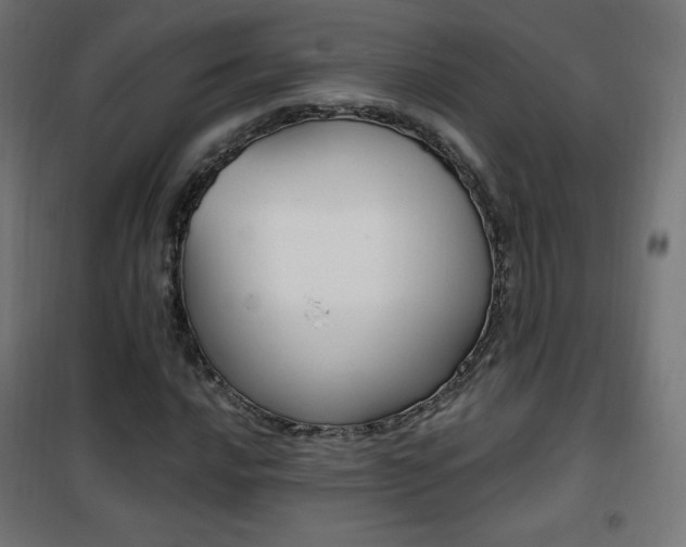 X0000101391016200807071000
