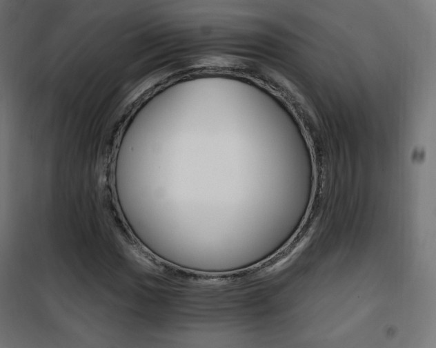 X0000101391017200807071000