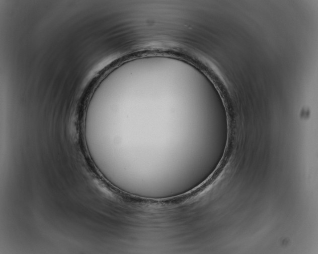 X0000101391018200807071000