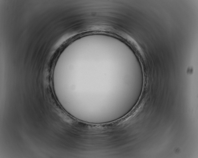X0000101391019200807071000