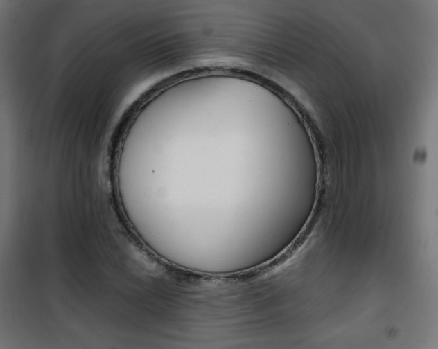 X0000101391022200807071000