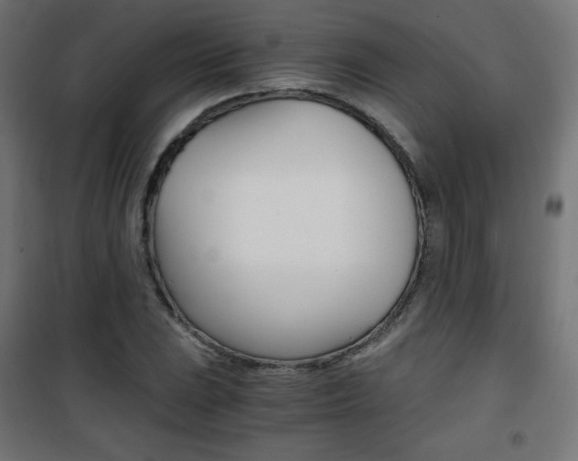 X0000101391023200807071000