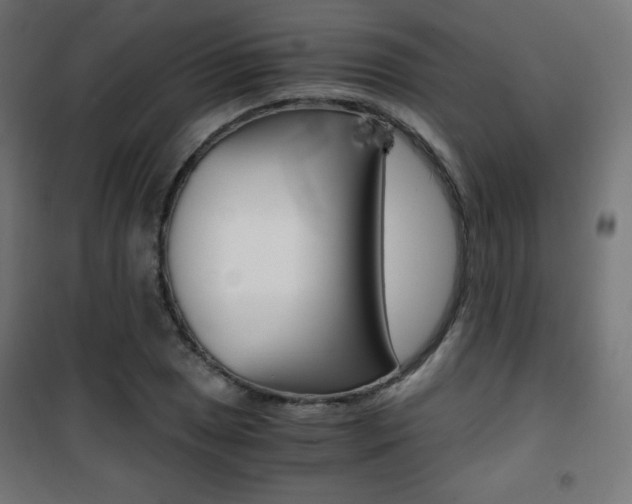 X0000101391025200807071000
