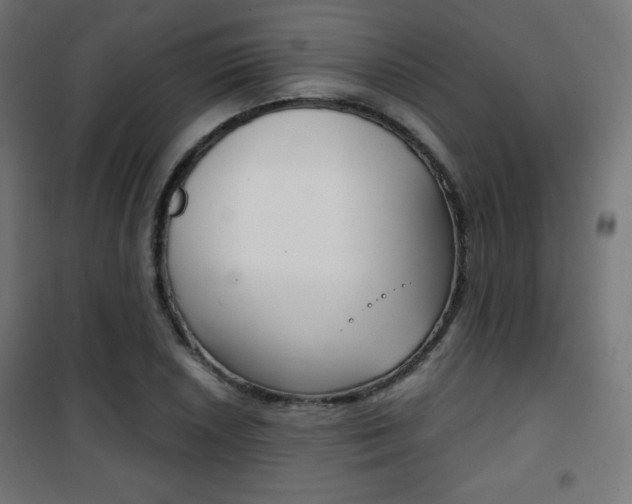 X0000101391026200807071000