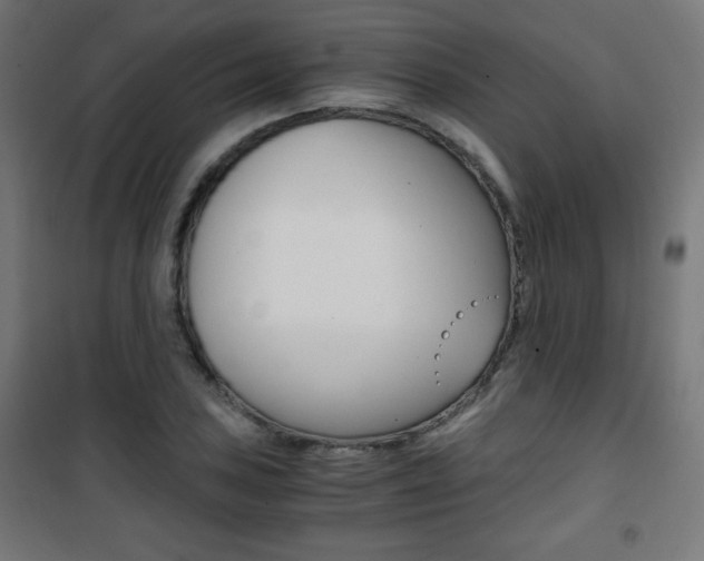 X0000101391027200807071000