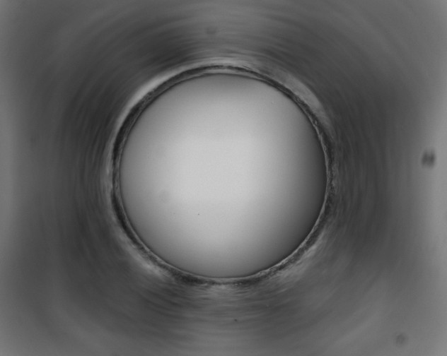 X0000101391028200807071000
