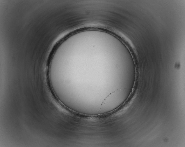 X0000101391029200807071000