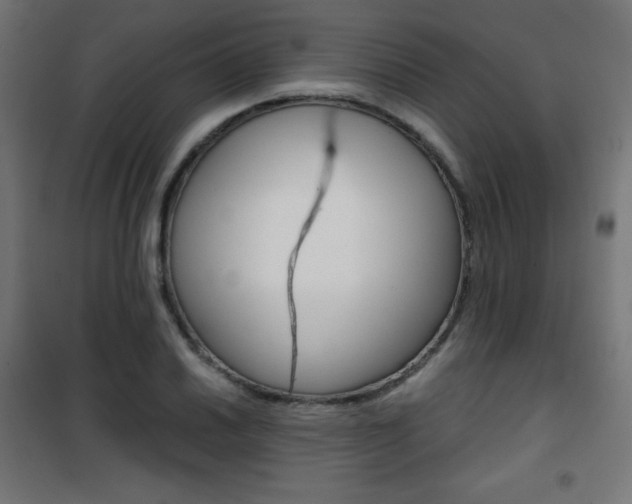 X0000101391030200807071000