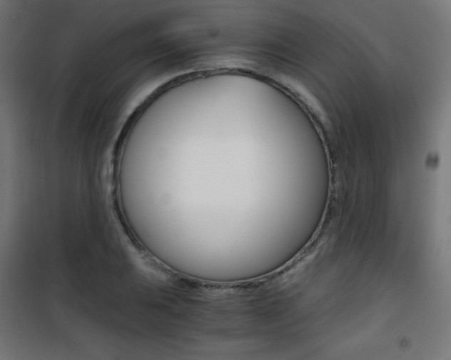 X0000101391031200807071000