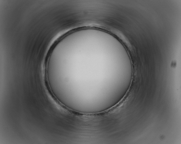 X0000101391032200807071000
