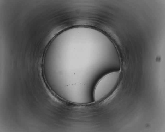X0000101391033200807071000
