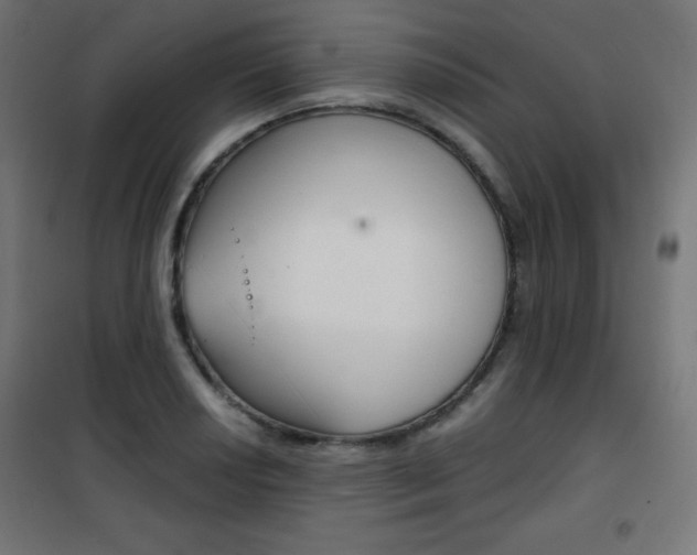 X0000101391034200807071000