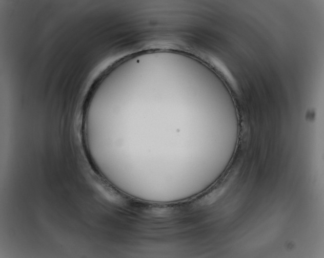 X0000101391035200807071000