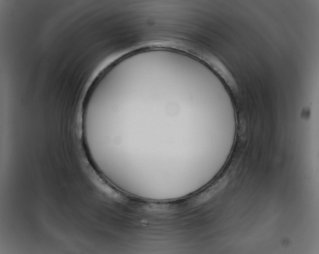 X0000101391036200807071000