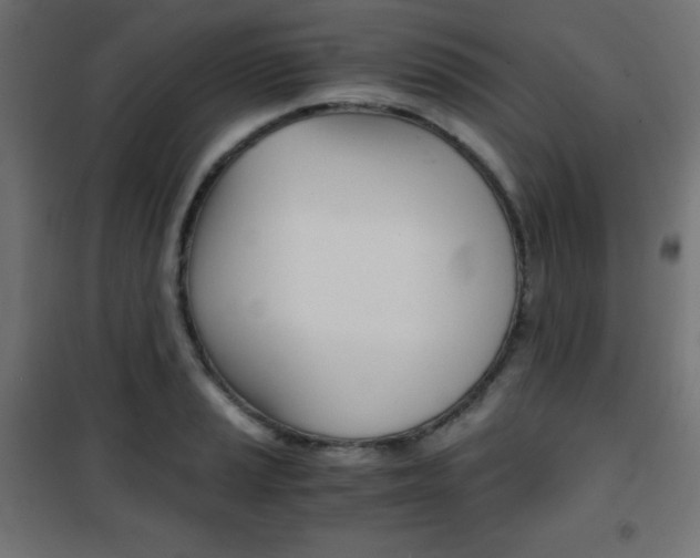 X0000101391037200807071000