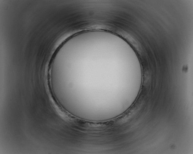 X0000101391039200807071000